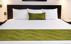 Eco City Hoteles